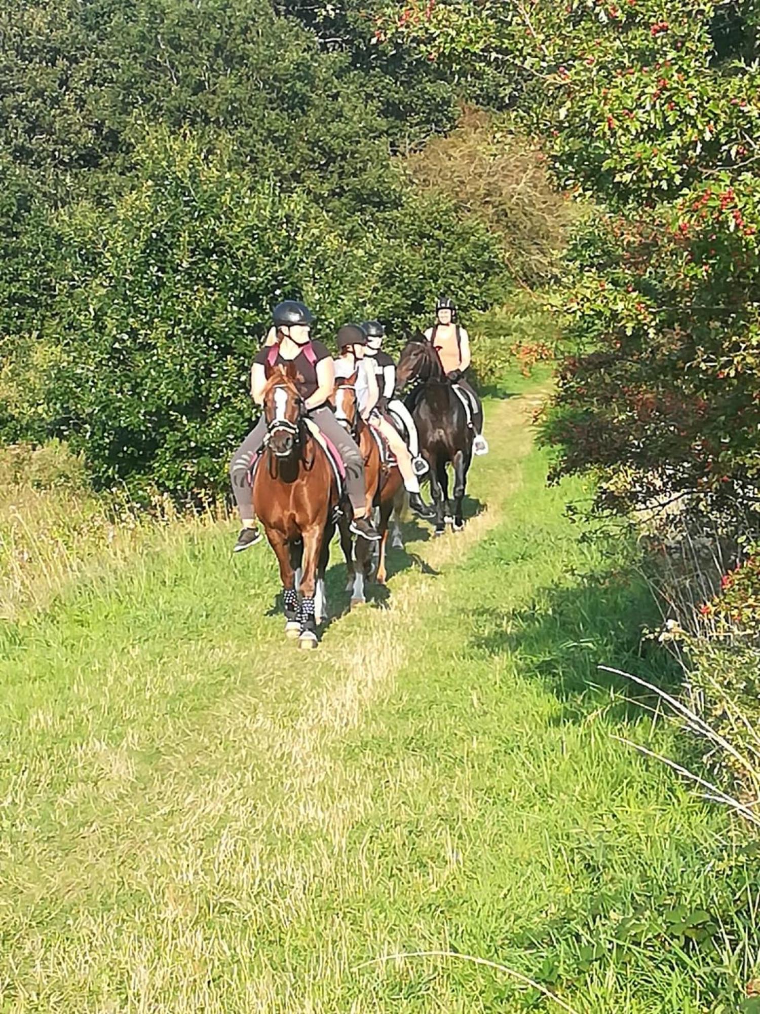 Ferienwohnung Reitanlage Baerenz Selk Exteriör bild