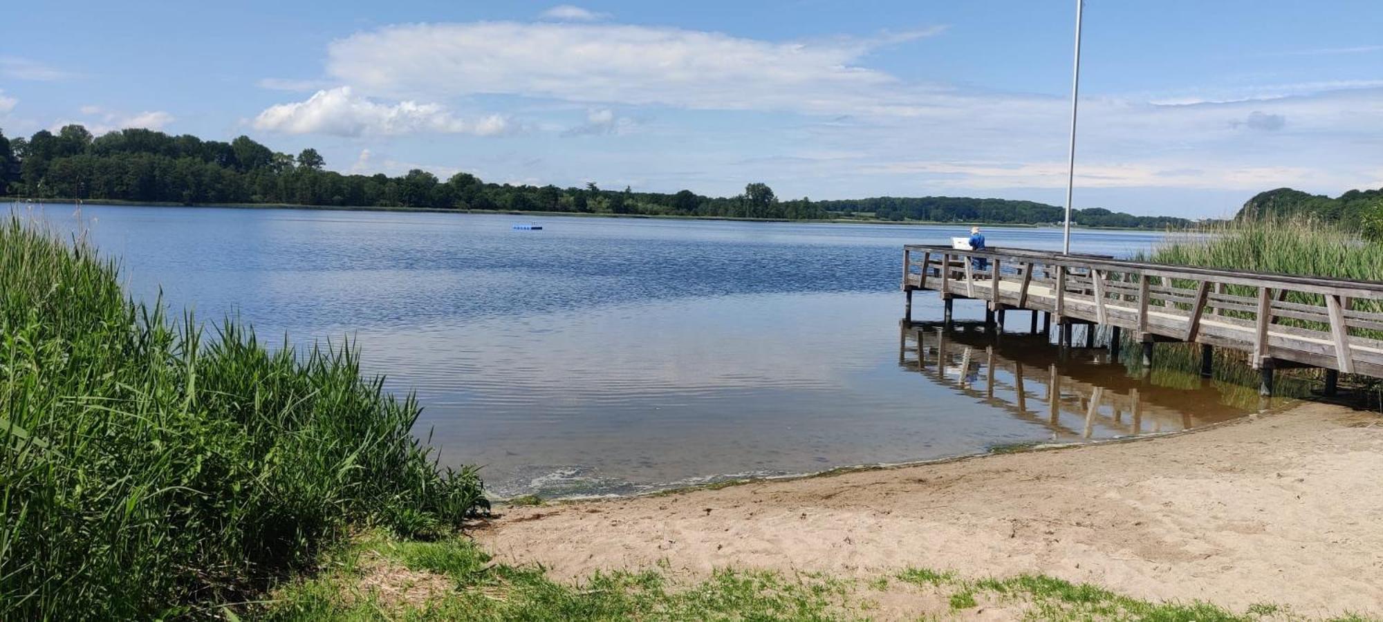 Ferienwohnung Reitanlage Baerenz Selk Exteriör bild